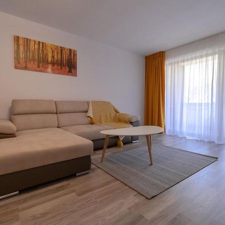 Transylvanian Apt. W/ Lrg. Terrace And Parking - Karpatenhaus Brasov Exterior photo